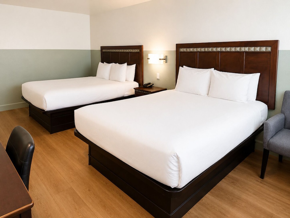 Room, 2 Queen Beds