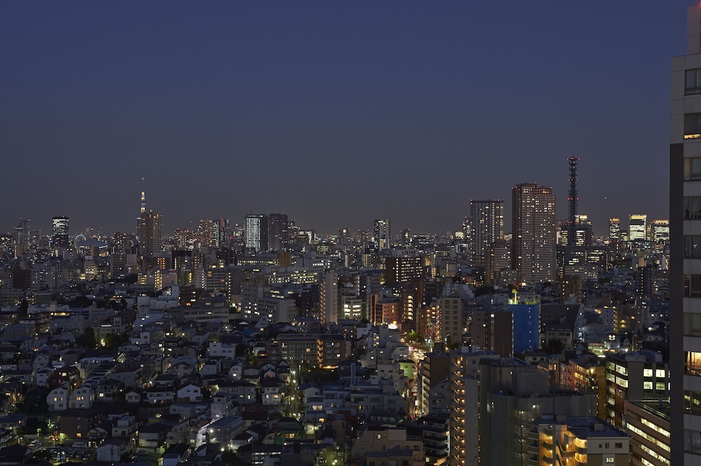 Sotetsu Fresa Inn Higashi Shinjuku 55/60