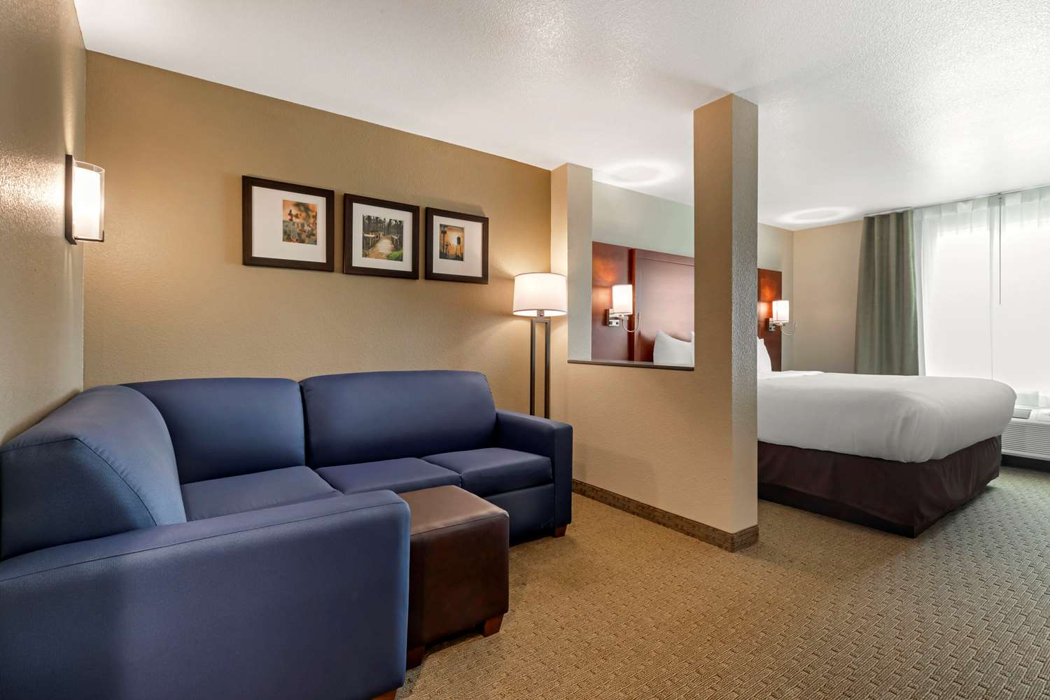 Comfort Inn & Suites Euless DFW West 38/45