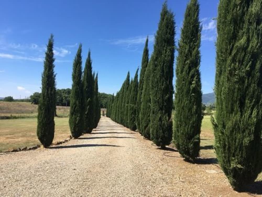 Agriturismo Podere Delle Querci 41/47