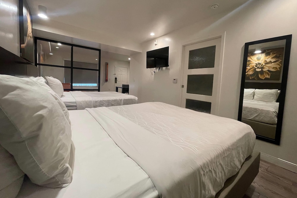DELUXE, SUITE, 2 QUEEN BEDS