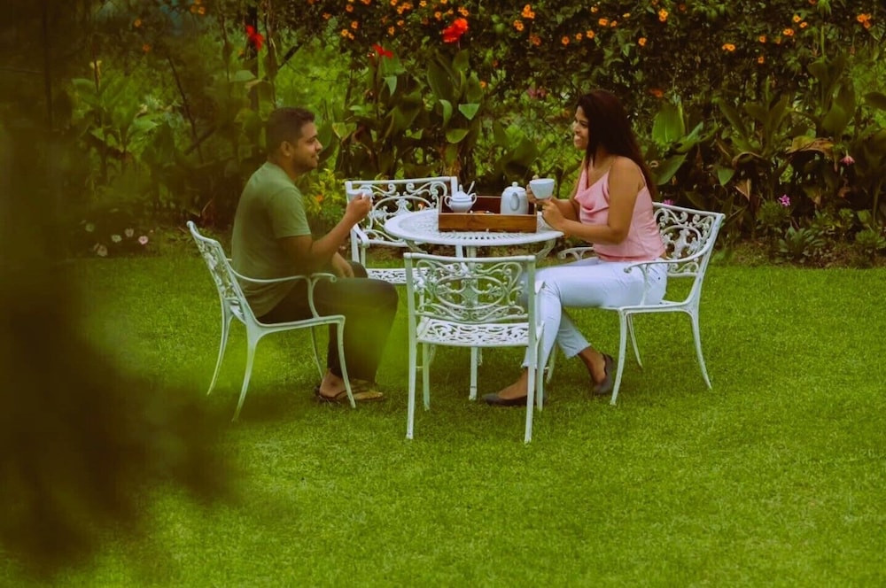 The Tea Garden 48/55