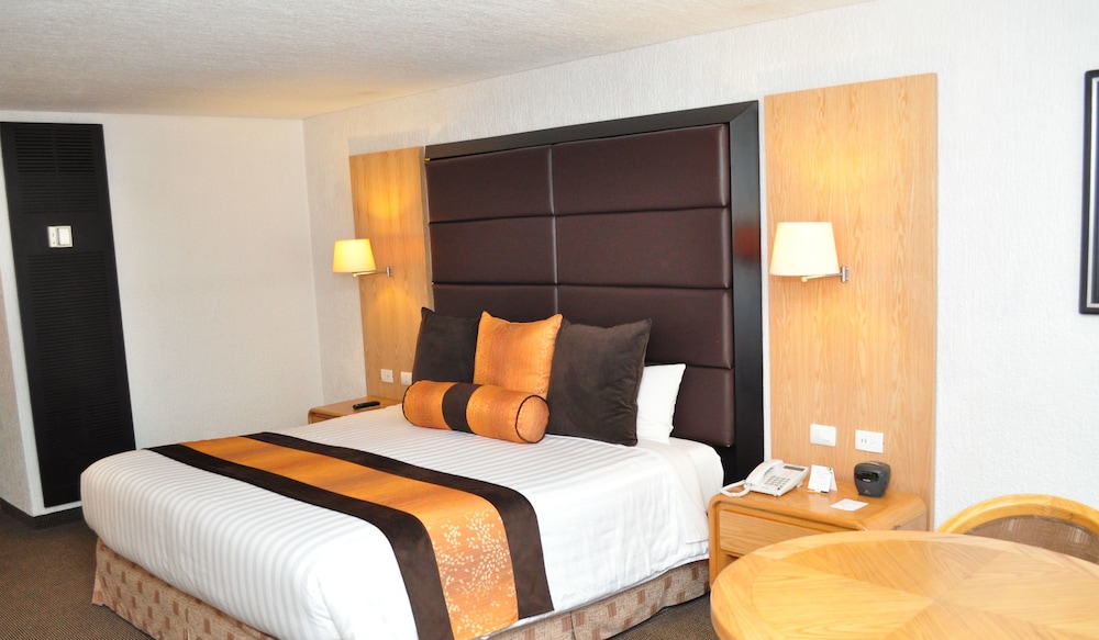 Royal Pedregal Hotel 18/47