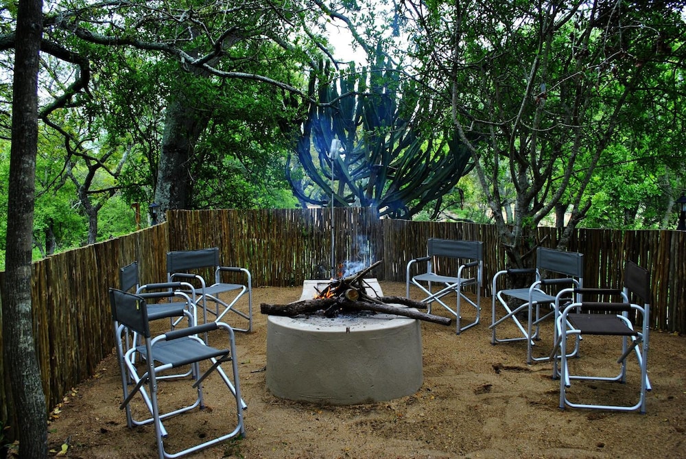 Lion Tree Top Lodge 25/36