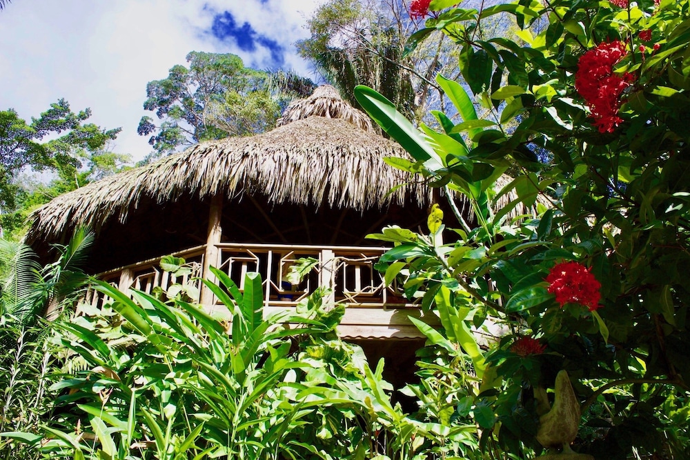 Villas Pico Bonito 7/66