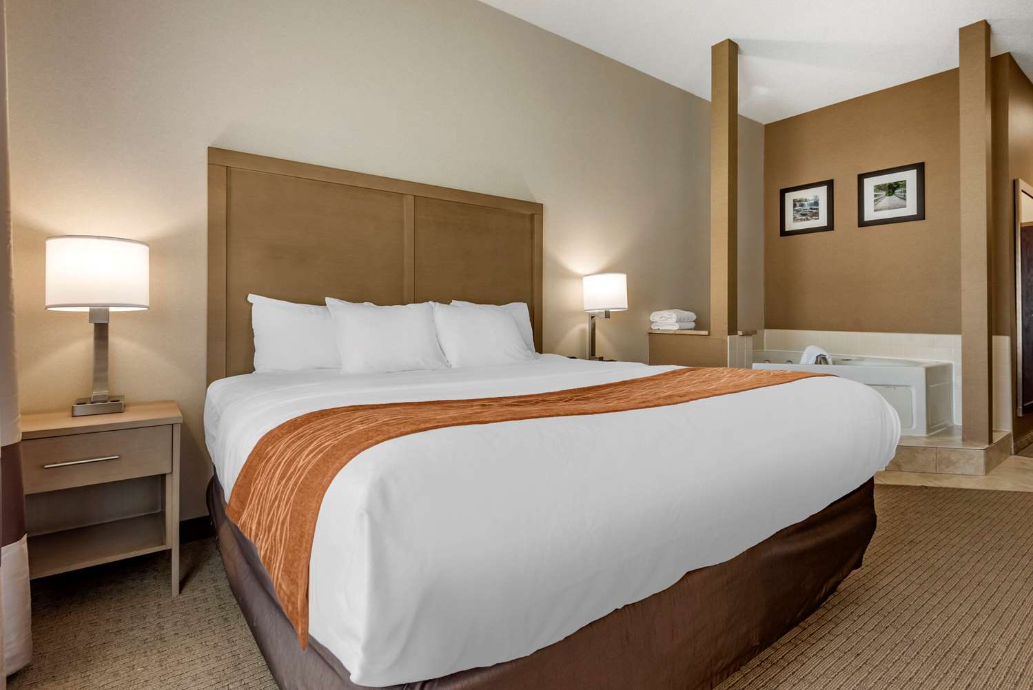 Comfort Inn & Suites Farmington Victor 5/17