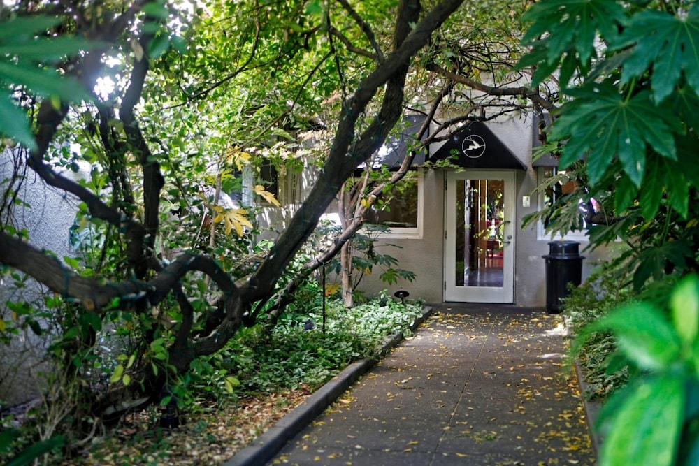 Mount View Hotel & Spa 54/57