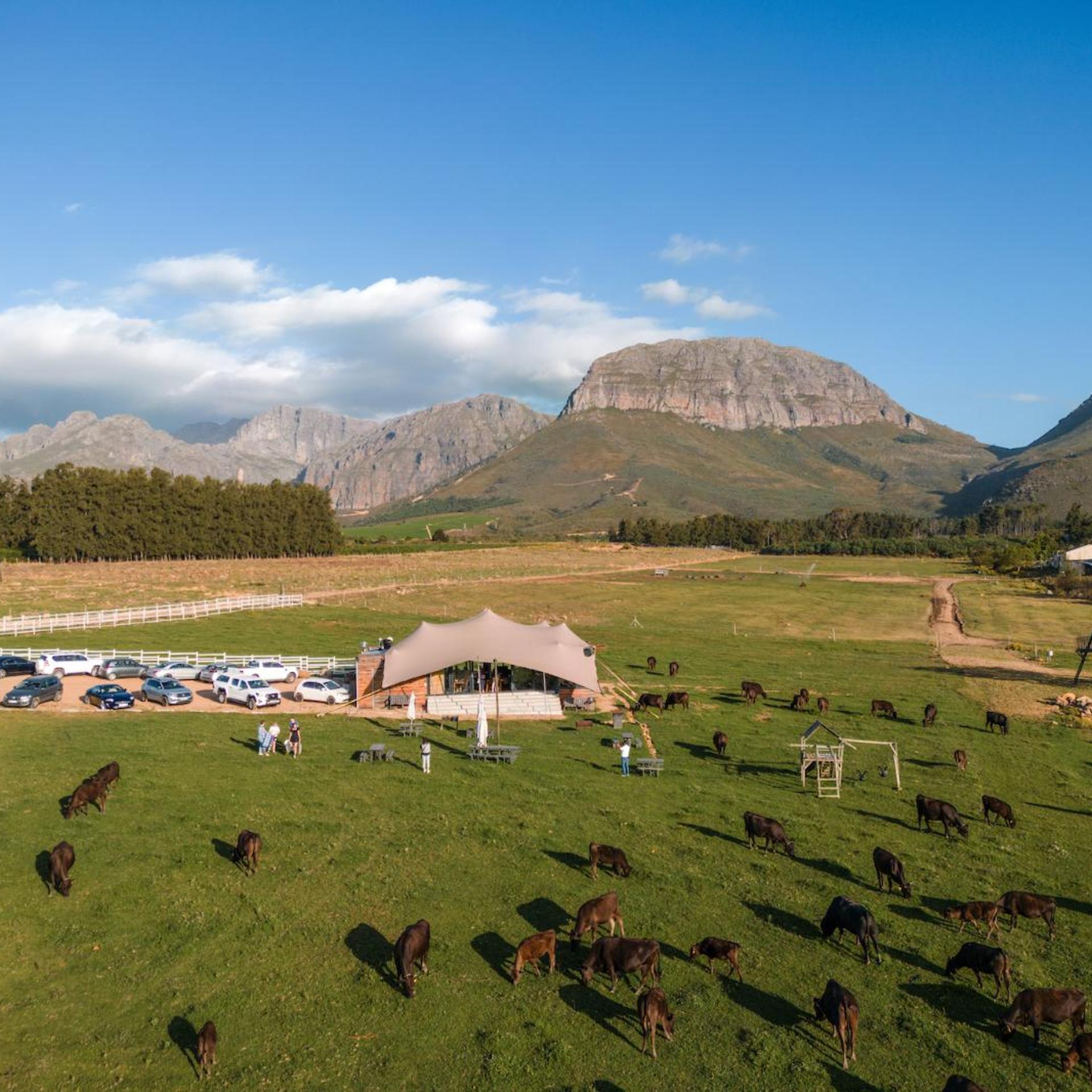 Wagyu Mountain Lodge 21/34