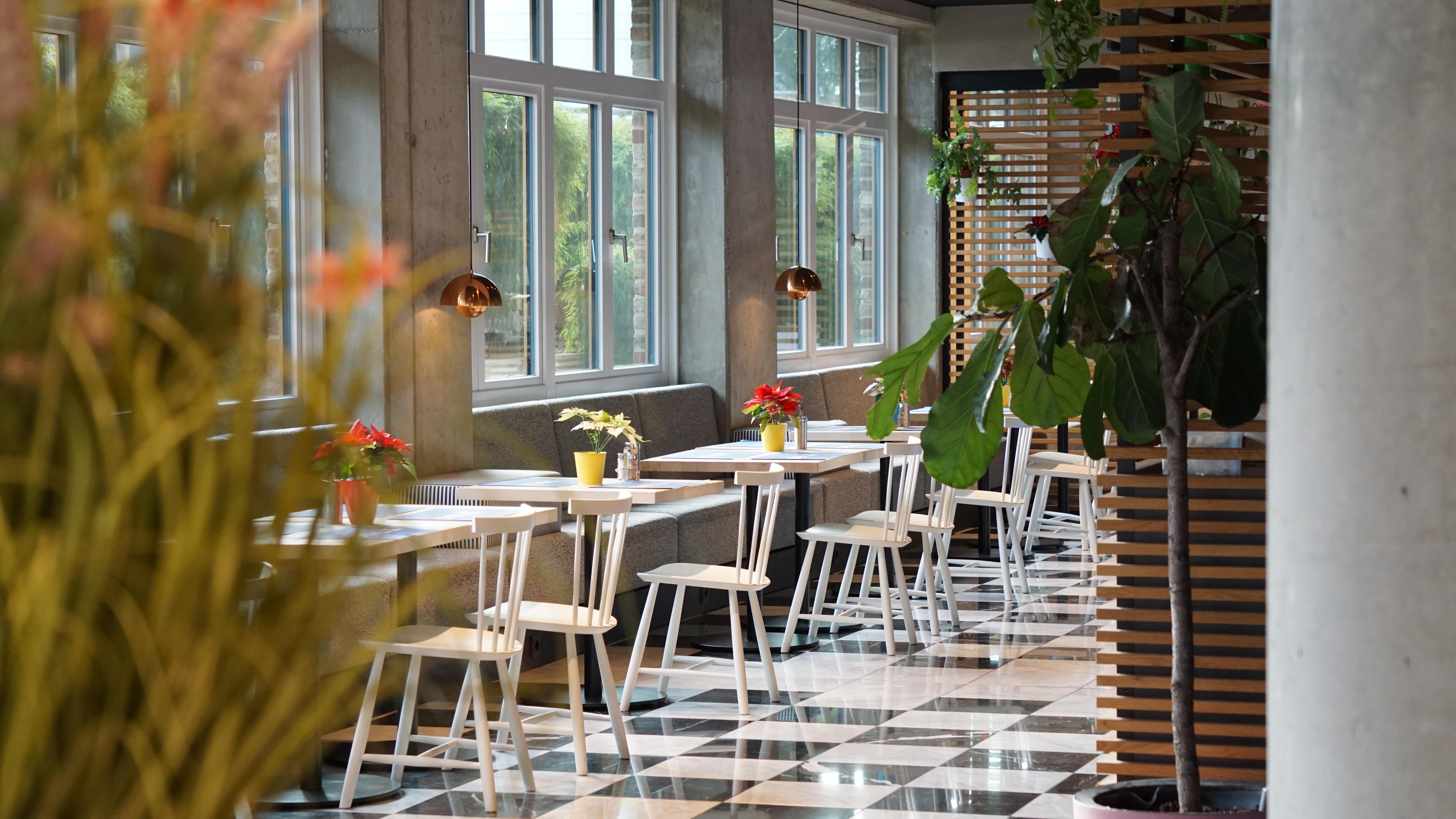 Flowers Hotel Essen 50/62