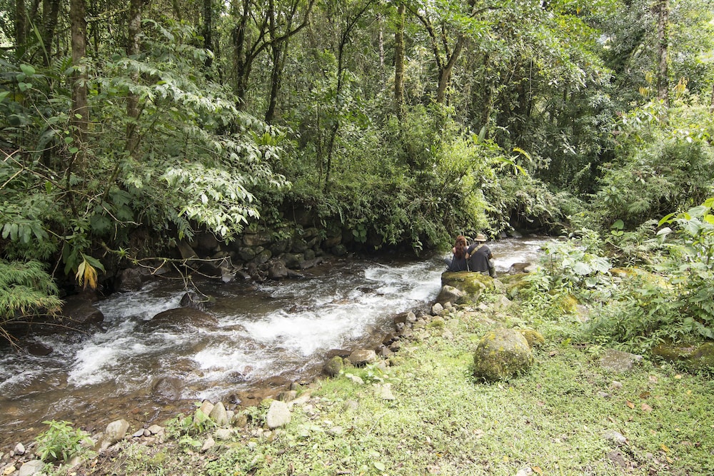 Bosque de Paz Lodge y Reserva Biologica 25/58