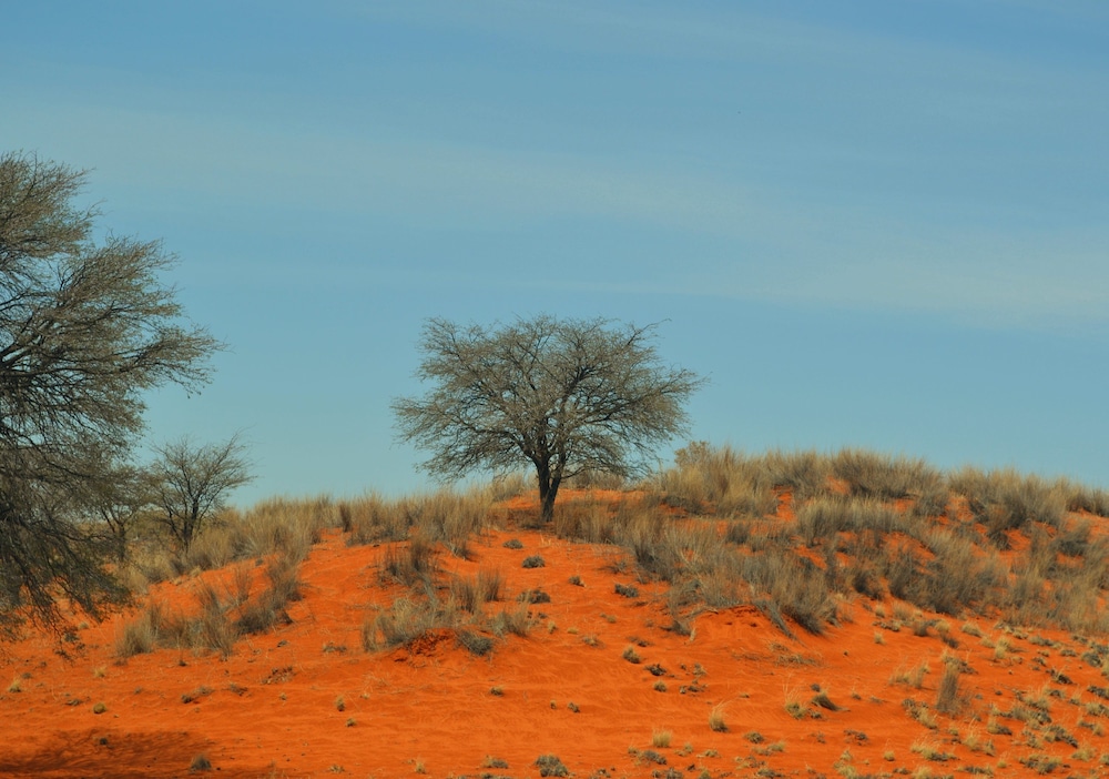 Kalahari Anib Lodge 67/71