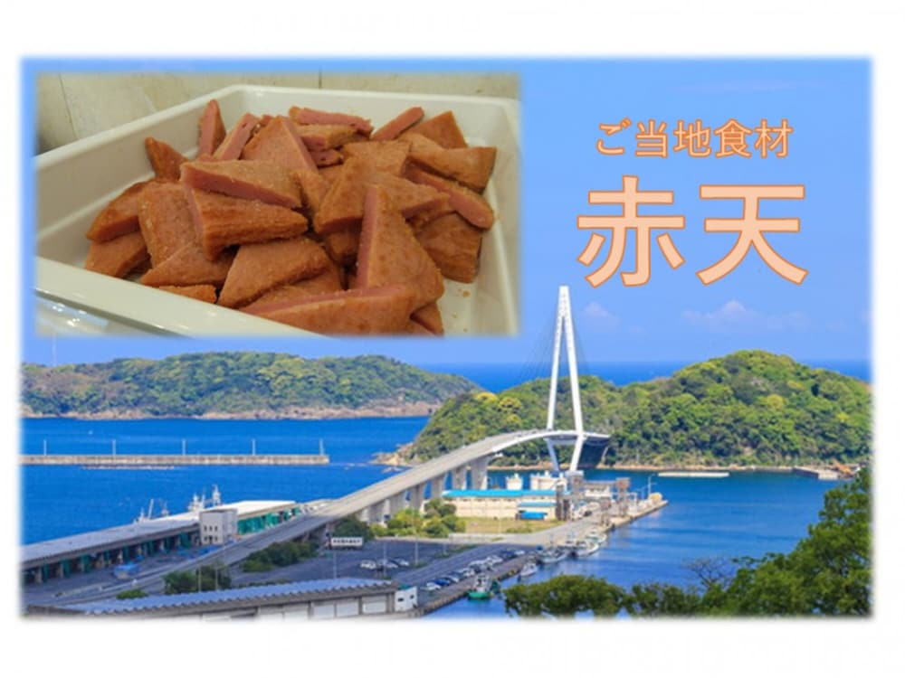 Toyoko Inn Hamada eki Kitaguchi 24/35