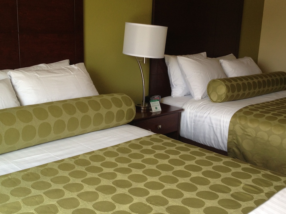 Cobblestone Inn And Suites Holyoke 13/37
