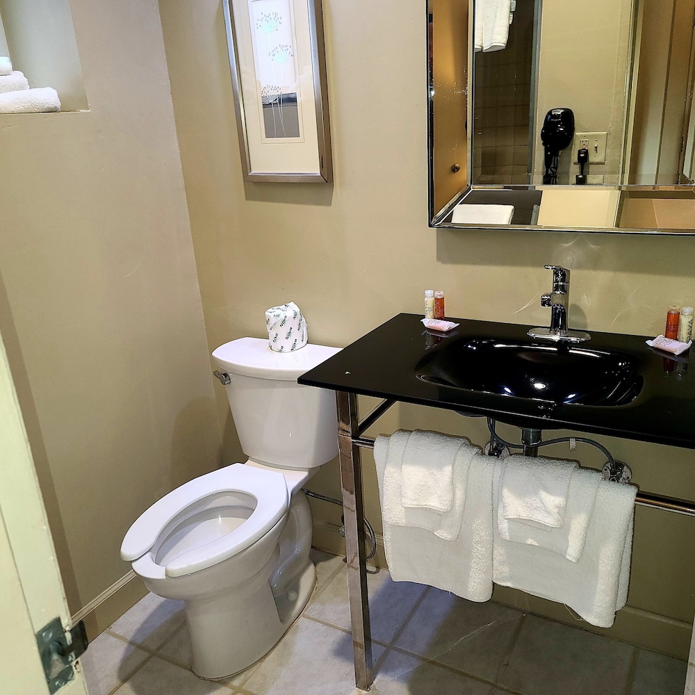 Sole Inn and Suites 31/32
