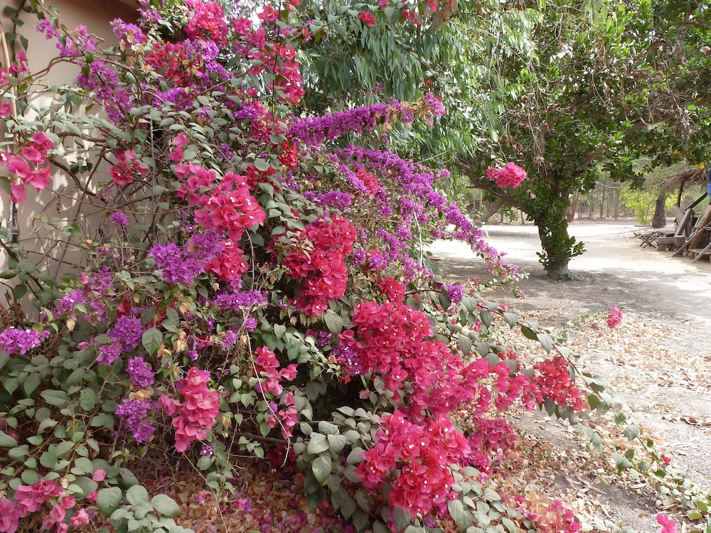 Footsteps Eco Lodge 34/47