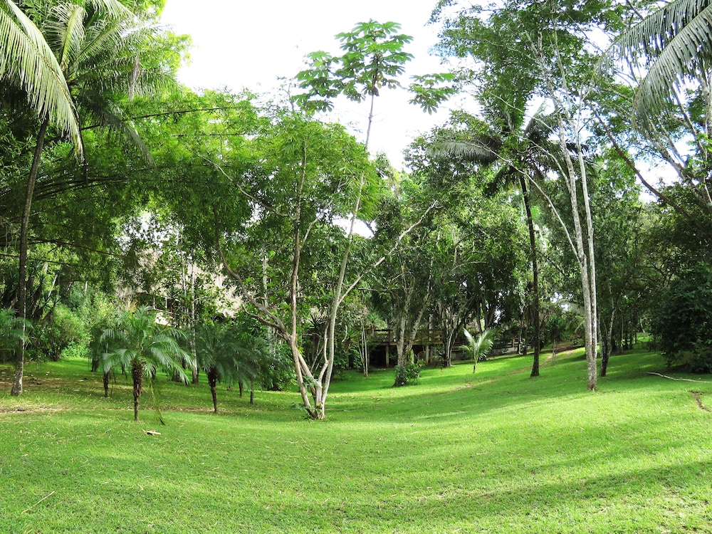 surroundings