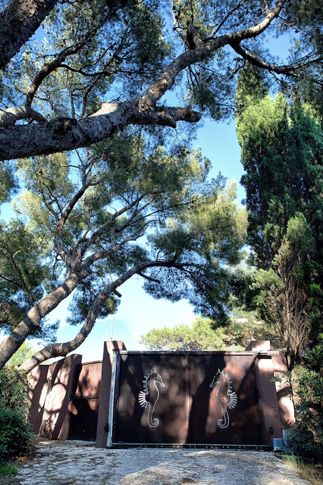 Villa Hippocampe 40/50