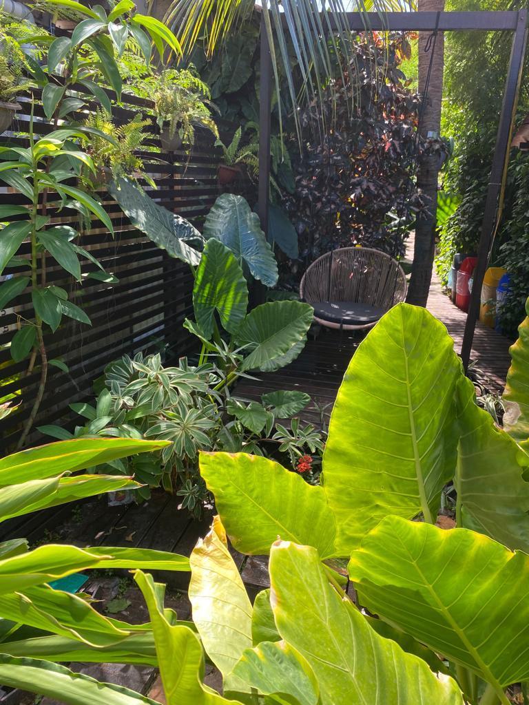 Casas Noronha 44/50