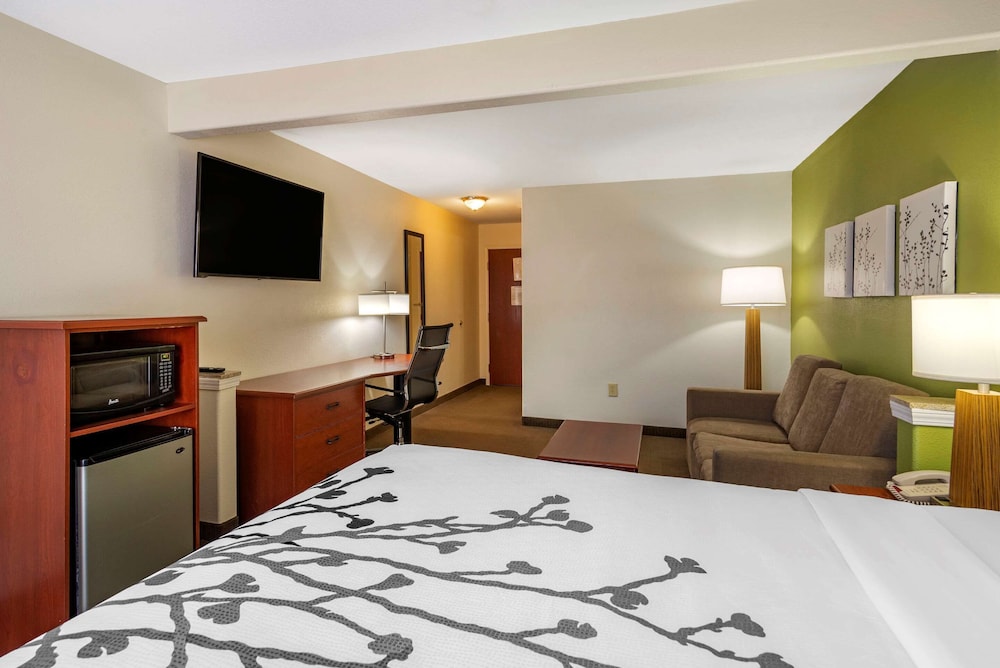 Sleep Inn & Suites Stockbridge Atlanta South 10/37