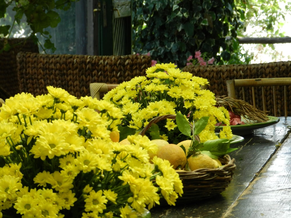 Agriturismo Fattoria Terranova 4/73