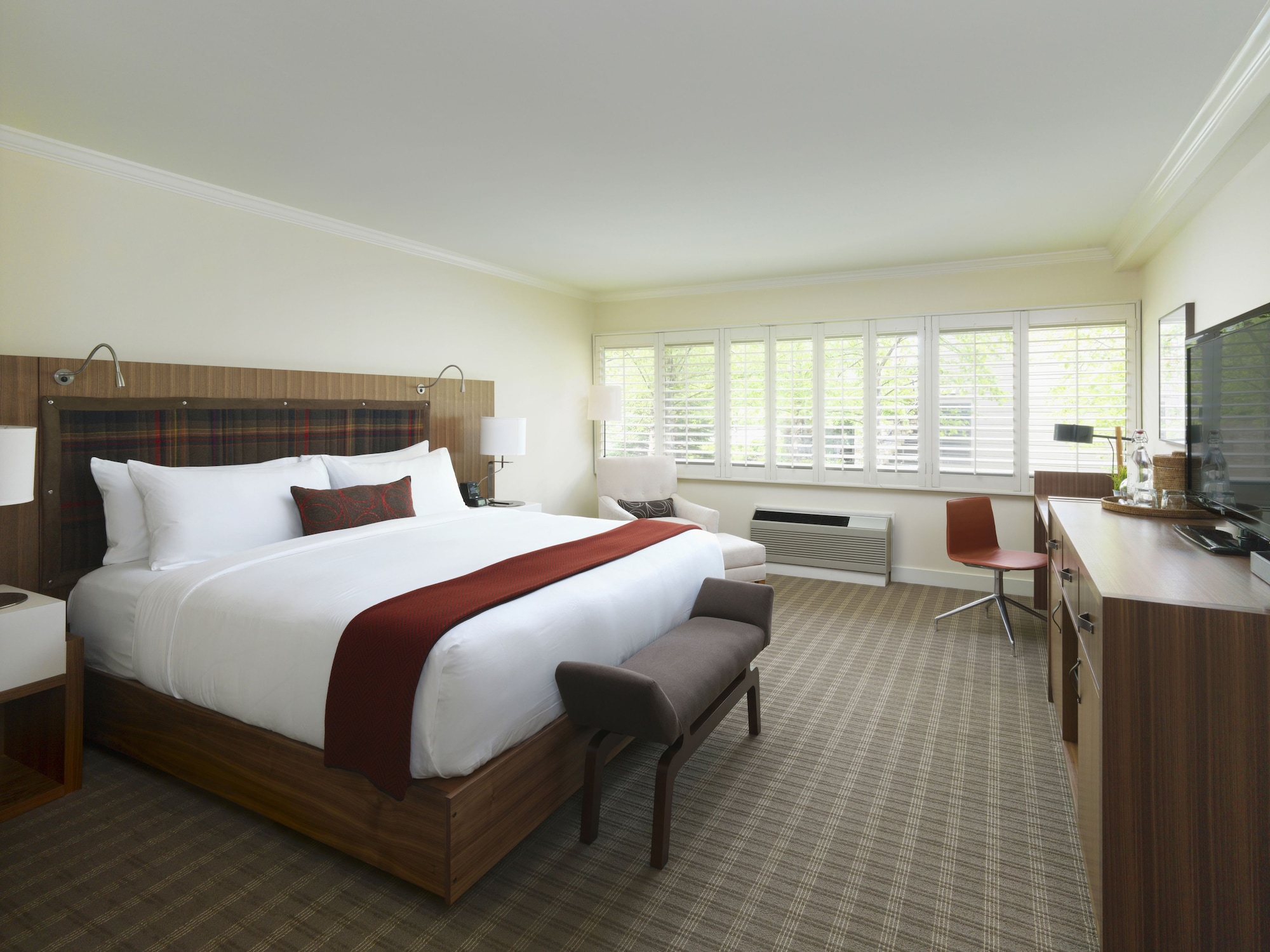 Suite, King Bed, Murphy Bed, Sofa