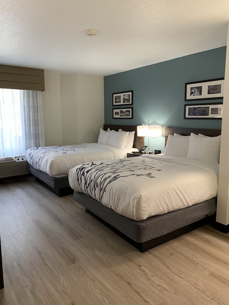 Room, 2 Queen Beds