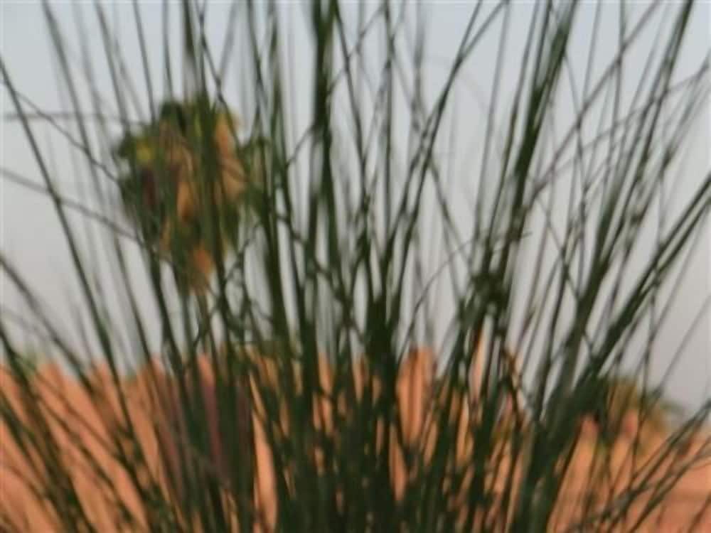 Riad le Jardin Des Sens & Spa 47/50