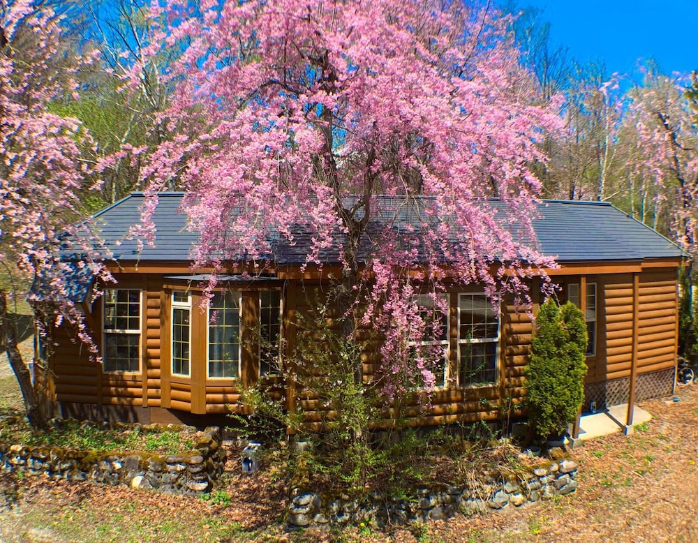 Hakuba Canadian Lodge 3/50