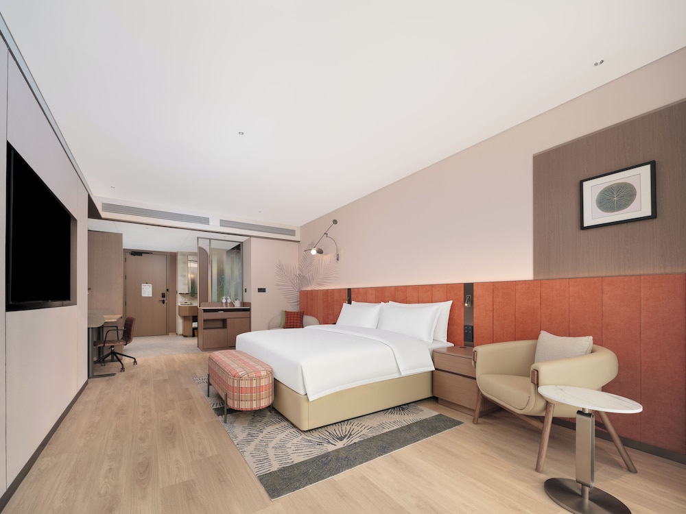 Hilton Garden Inn Mianyang Santai 21/48