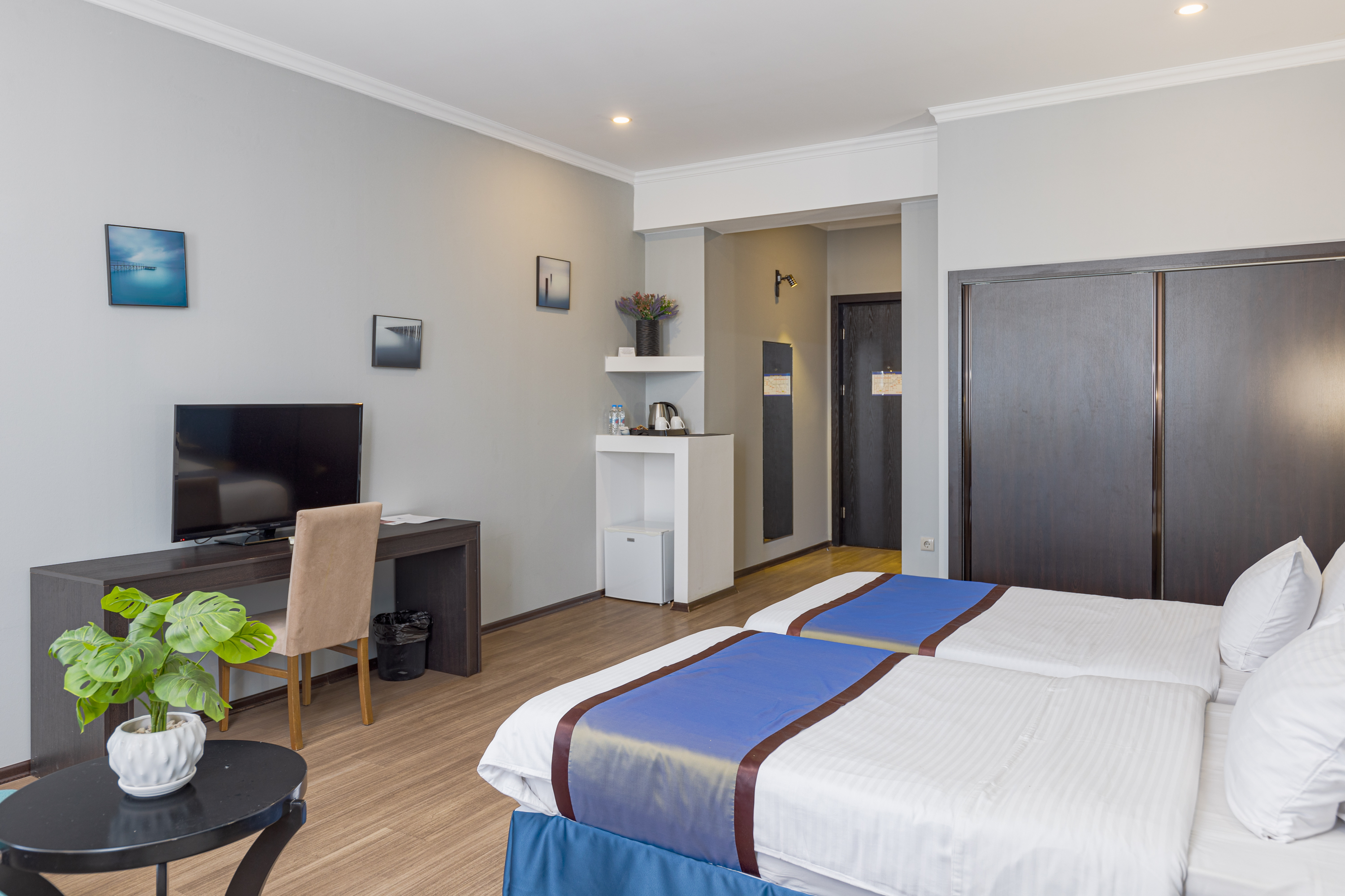 Deluxe Twin Room: