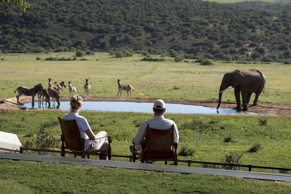 Gorah Elephant Camp 28/50