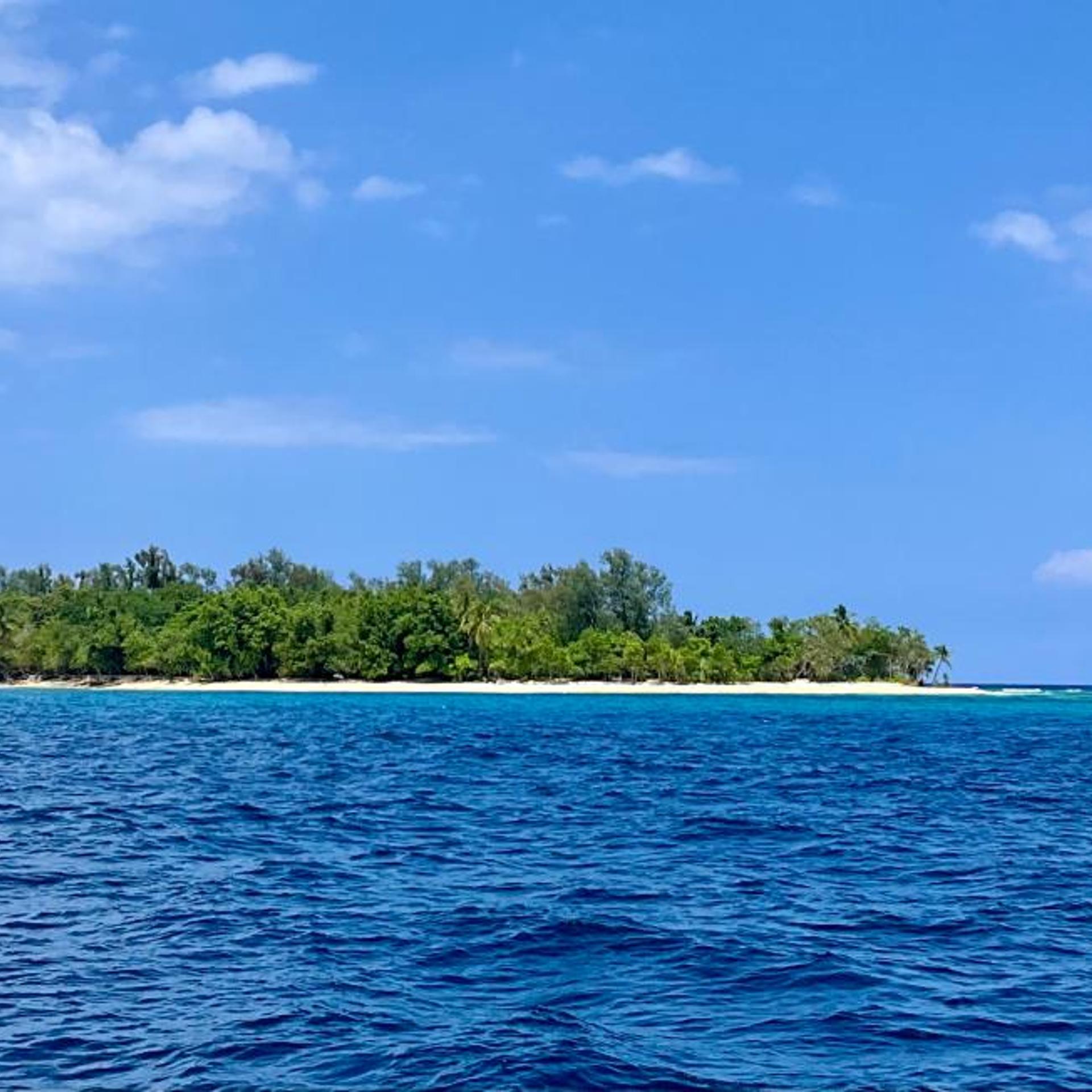Dany Island Eco Resort 39/50