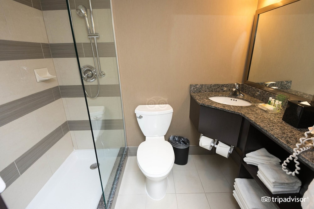 HOLIDAY INN TORONTO DOWNTOWN CENTRE 17/79
