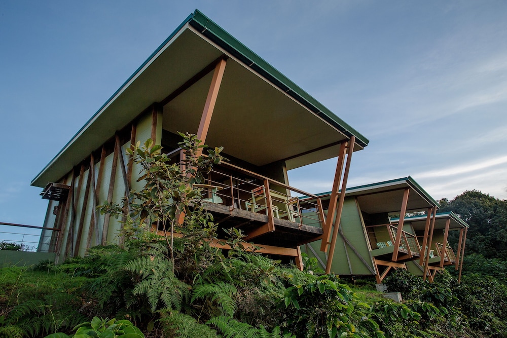 Chayote Lodge 4/50