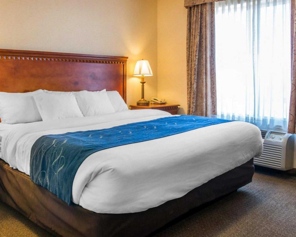 Upgrade, Suite, King Bed