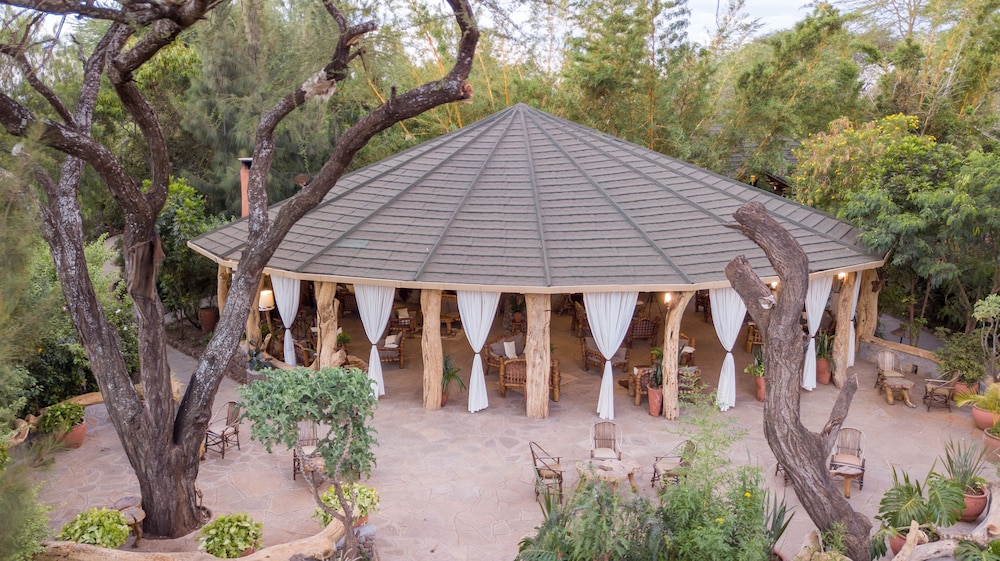 Kibo Safari Camp 50/50