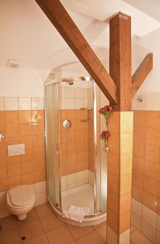 Hotel Caesar Prague 21/69