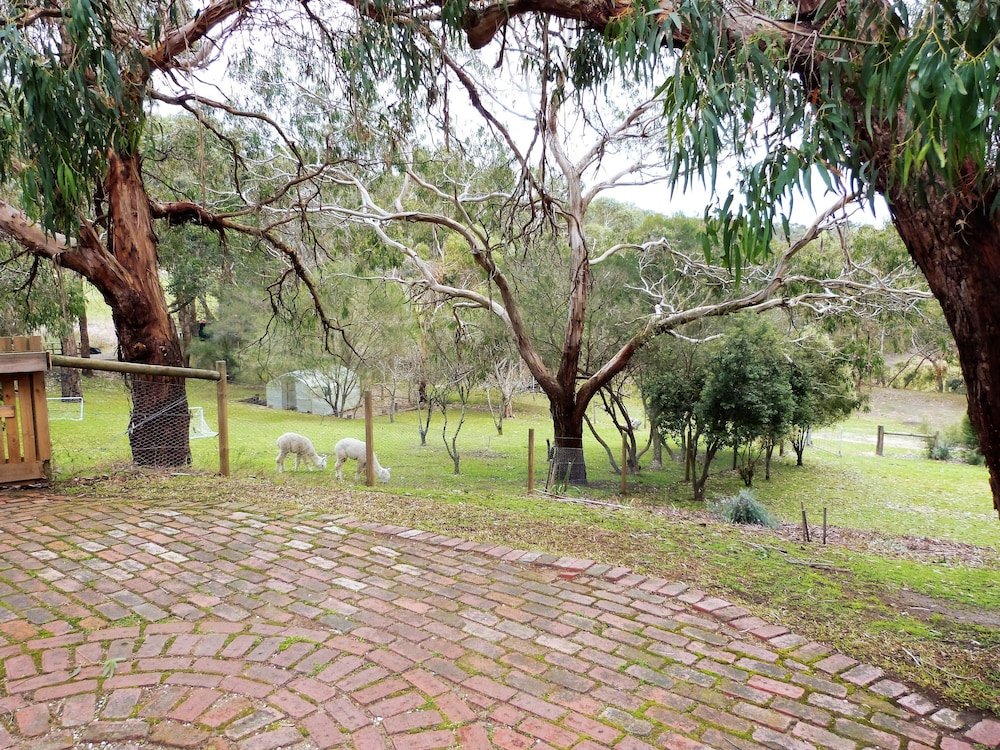 BELLS ESTATE GREAT OCEAN ROAD COTTAGES 37/50