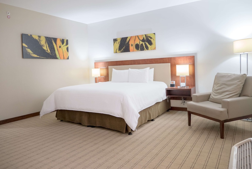 Wyndham Garden San Jose Escazu 13/46