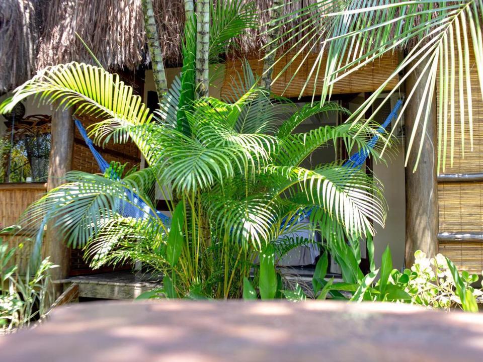 Viking Boutique Hotel Taipu 12/15