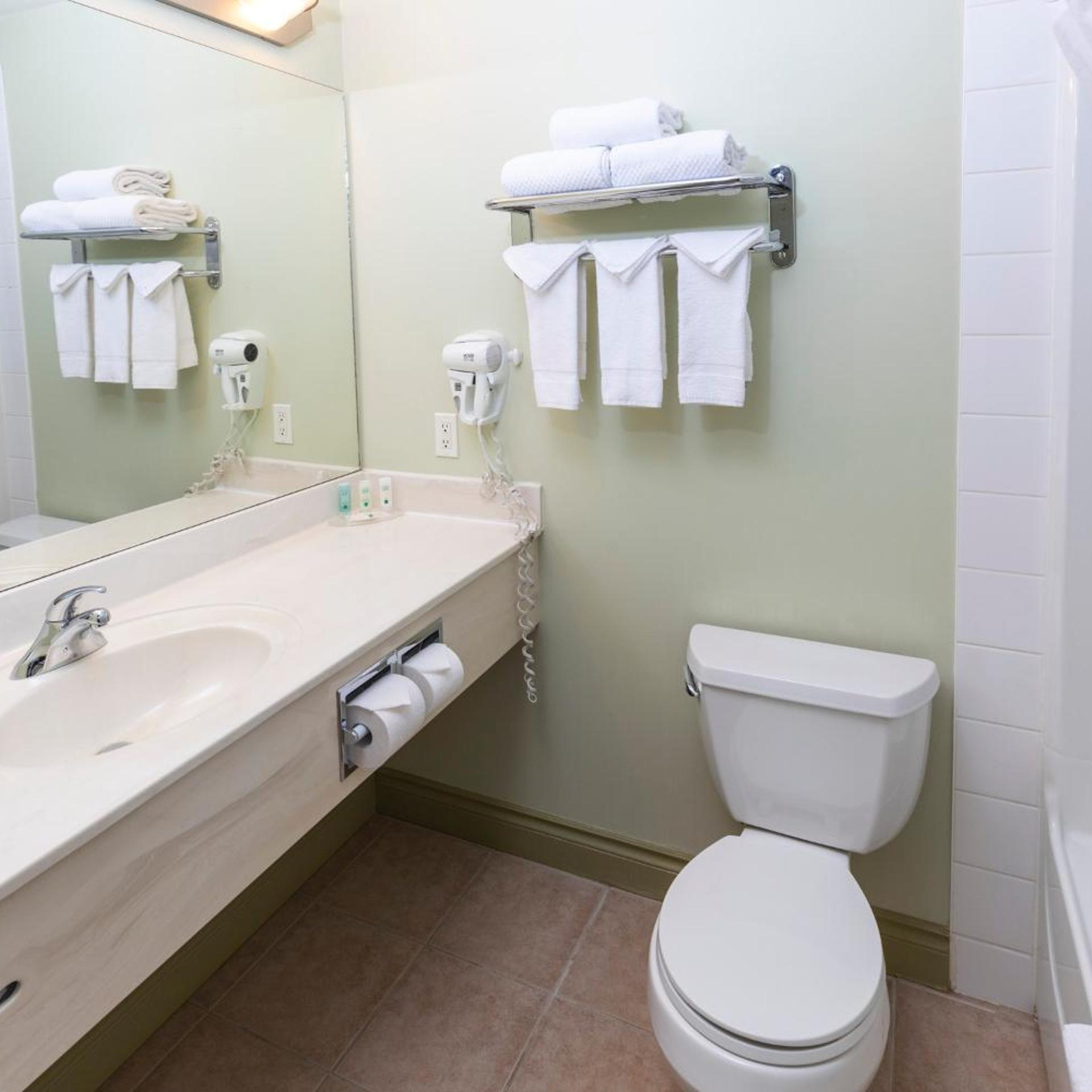 Efficiency, Queen Bed، Quality Inn & Suites Whitecourt 6/7