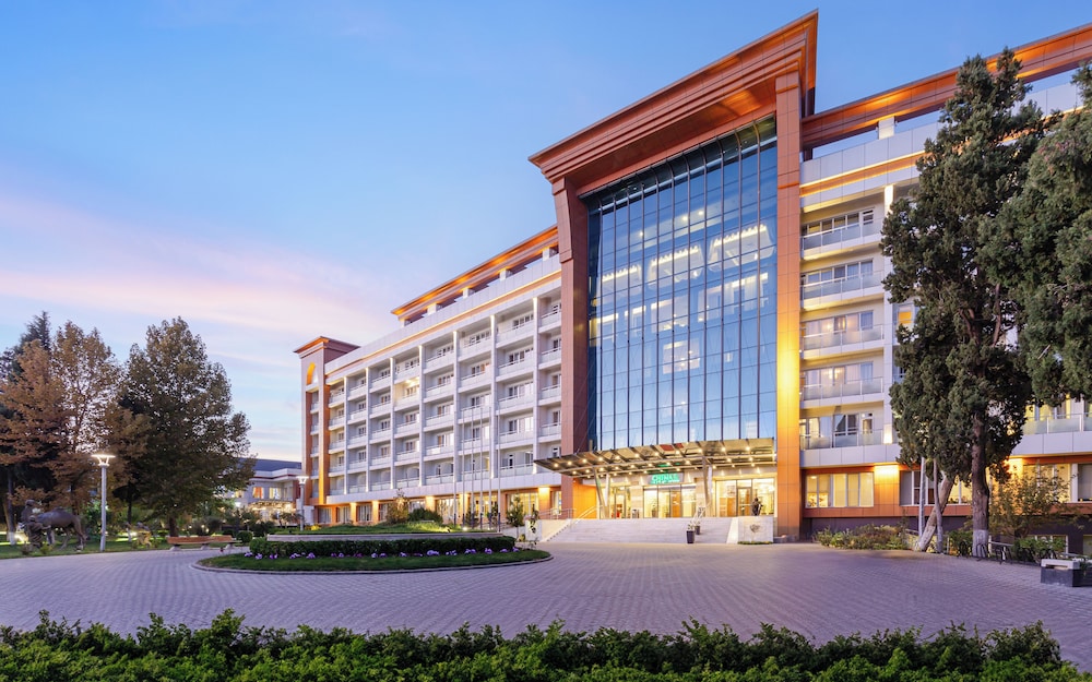 Chinar Hotel & Spa 1/50
