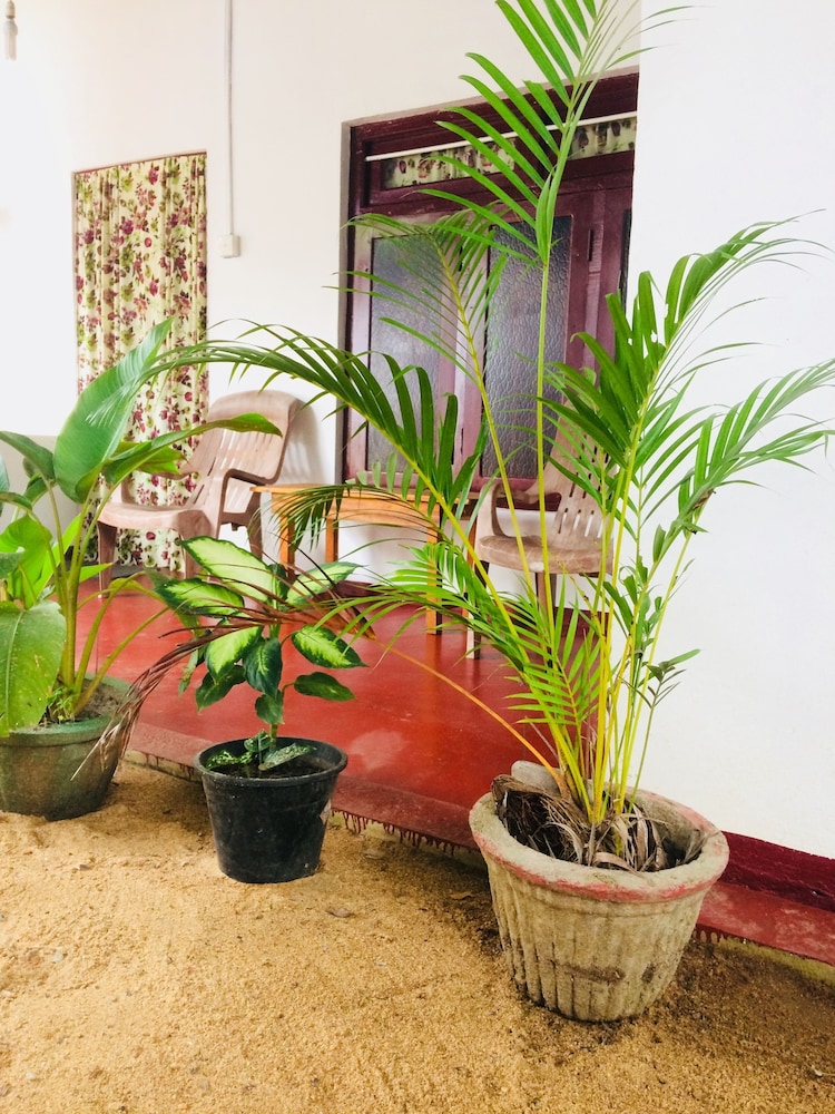 Tropicana Homestay 29/37