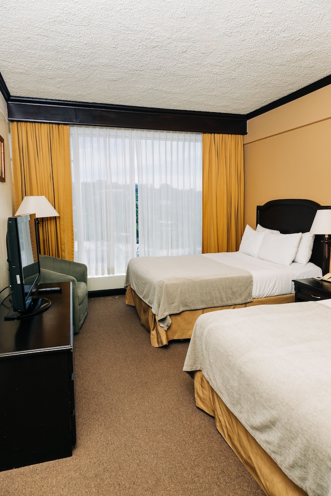 Hotel Plaza Suites 14/50