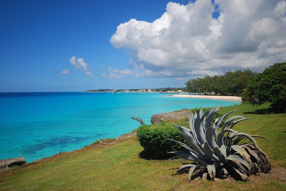 Little Arches Boutique Hotel Barbados 39/50