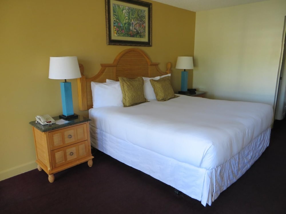 The Central Motel 13/55