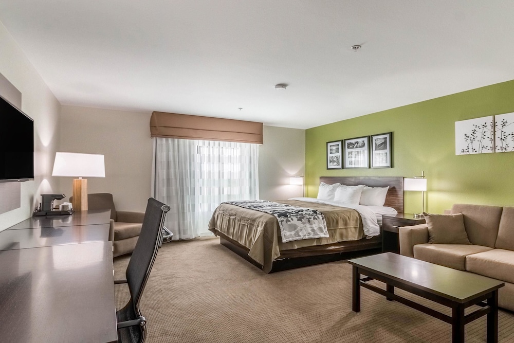 SUITE, KING BED, ACCESSIBLE