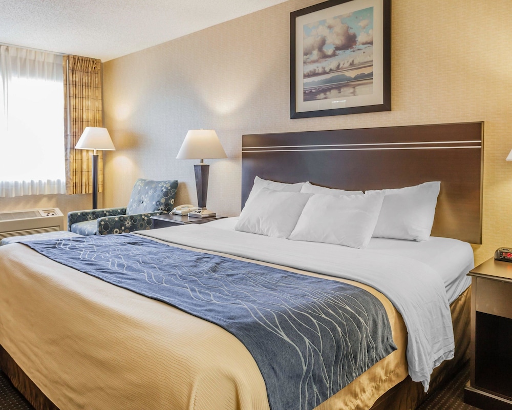 Room, Queen Bed