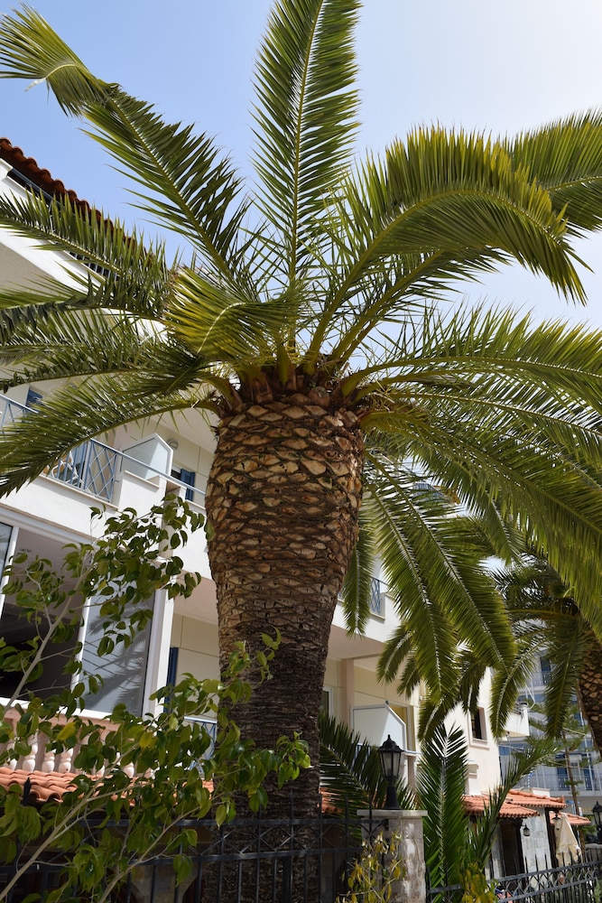 Hotel Serenity Tolo in NAFPLION