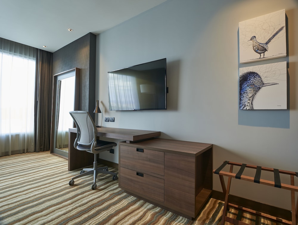 Hilton Garden Inn Chihuahua Chihuahua 49/67